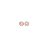 14KT Pink Gold & Diamond Tru Reflection Fashion Earrings  - 1/8 ctw
